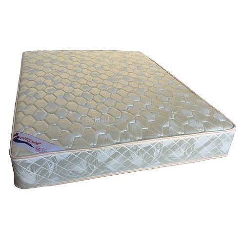 ���� ������ �����