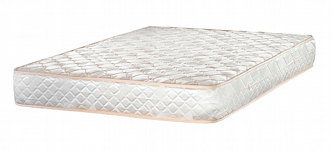 ����� ���� _ ��� ������ 