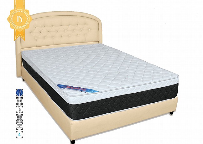 ����� +���� ������� 4 �"� ��� : ANATOMIC