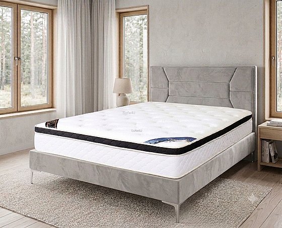����� ��� : ANATOMIC NATURAL VISCO