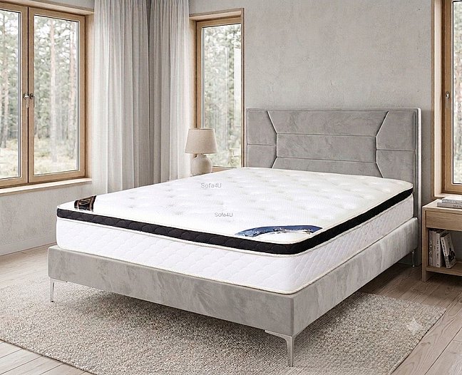 ����� ��� : ANATOMIC NATURAL VISCO