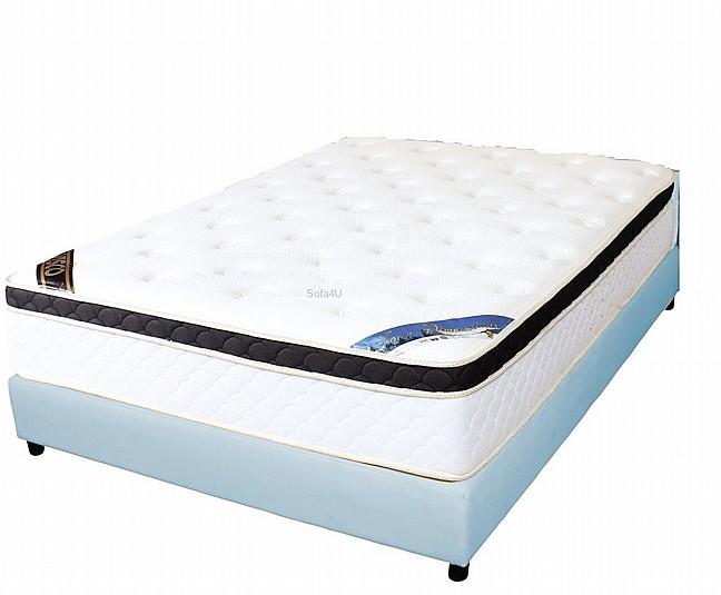 ����� ��� : ANATOMIC NATURAL VISCO