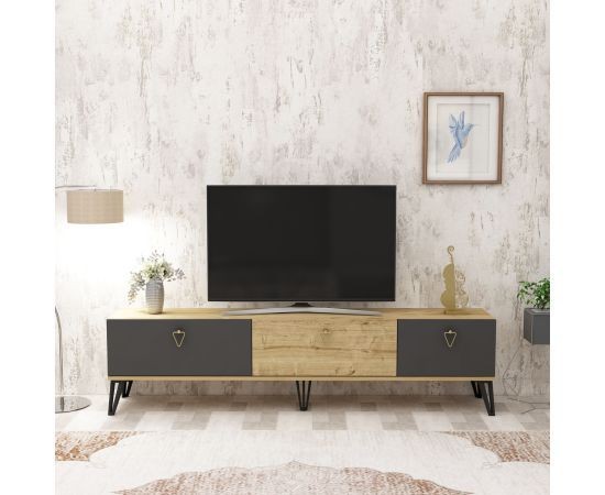   Miz-1021